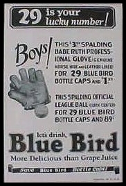 1933 Blue Bird